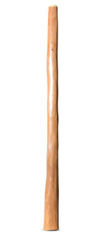 Earl Clements Flared Didgeridoo (EC496)